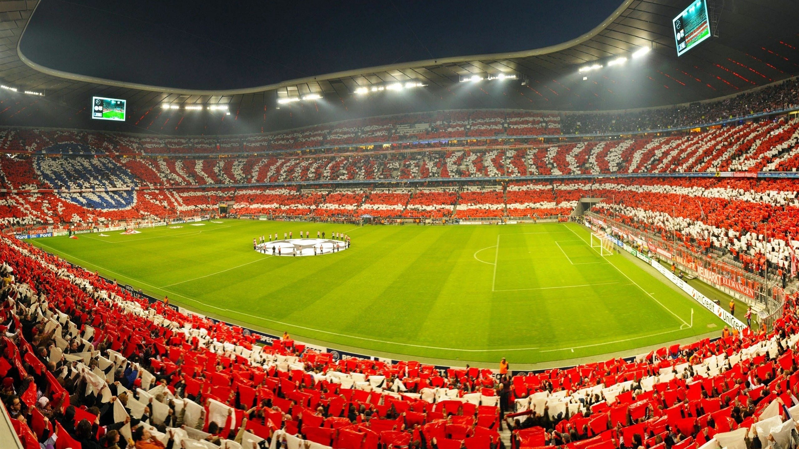 体育政策新规出台，全民健身计划升级，职业联赛改革加速